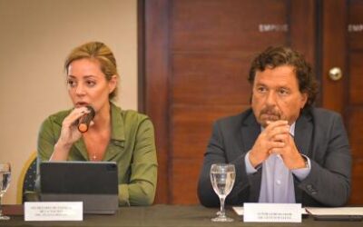 Sáenz aseguró que la salida de Royon es «una pérdida para las provincias mineras»