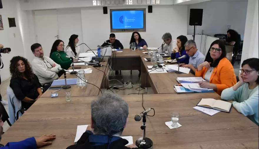 Santa Cruz da un paso hacia la adhesión al RIGI: ¿oportunidad o amenaza para la industria local?
